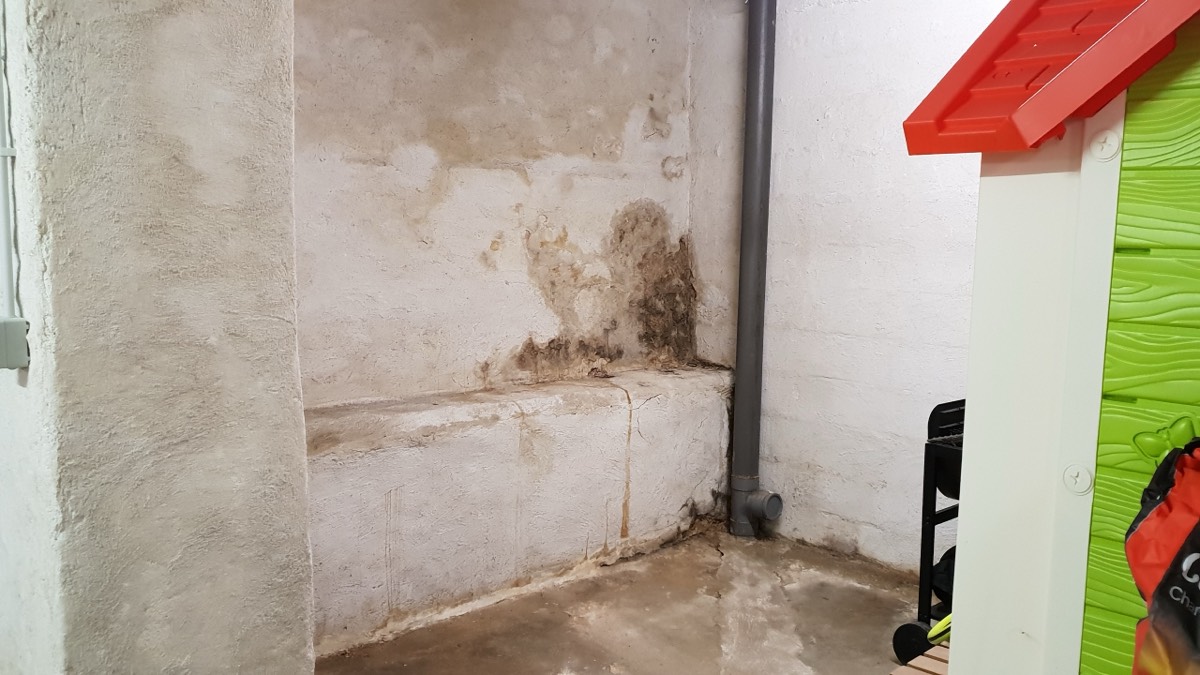 Infiltrations d'eau - Expertise humidité à Guéret